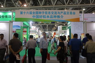 42个优质稻米品种亮相双交会，搭建全产业链沟通桥梁